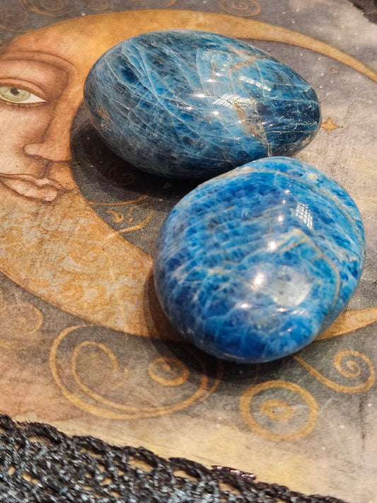 Blue Apitate Palmstone (medium)