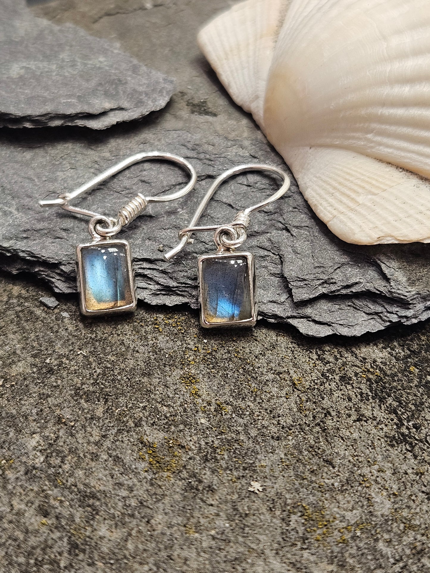 Rectangular Labradorite Drop Earrings