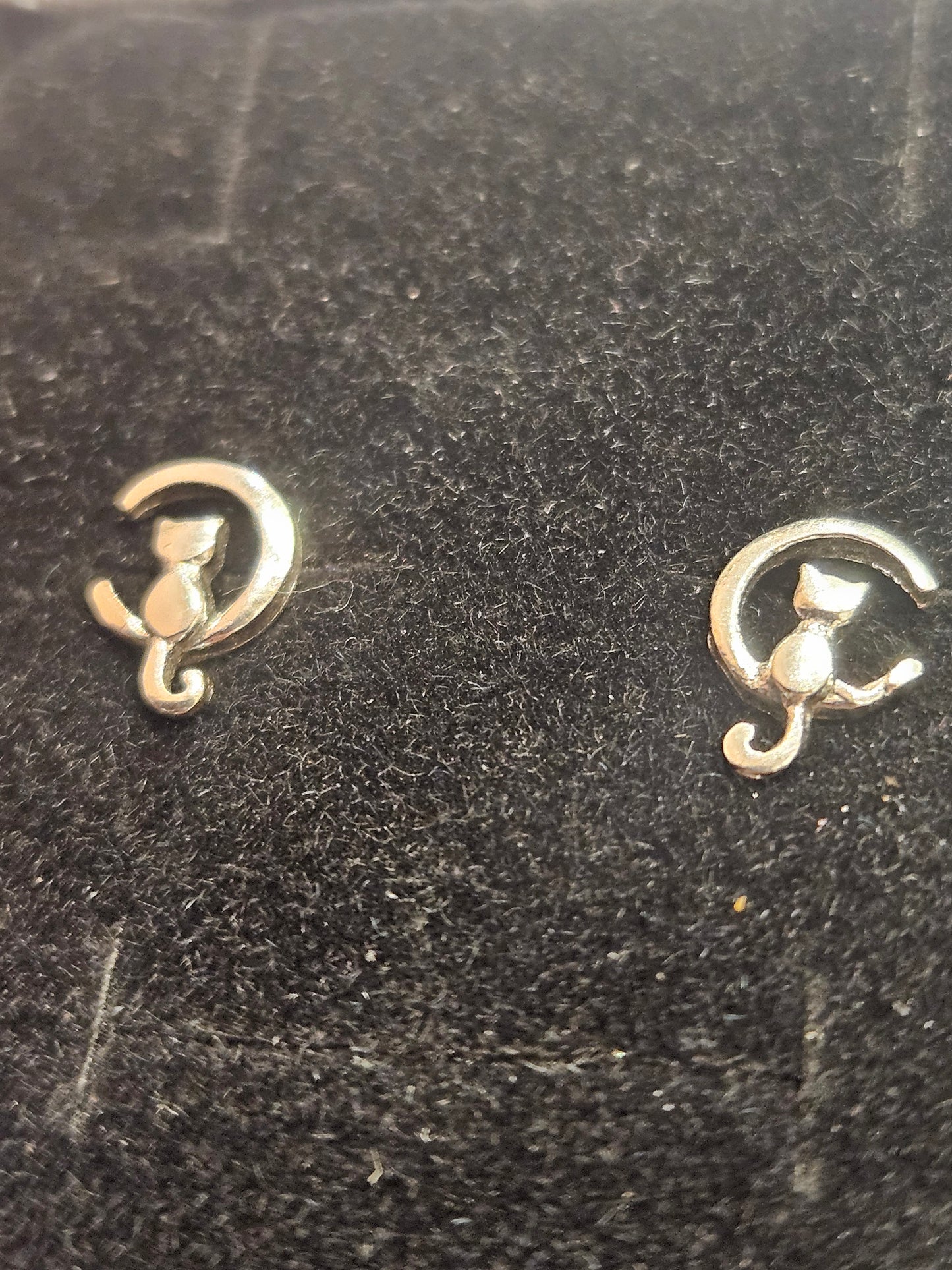 Moon Cat Studs