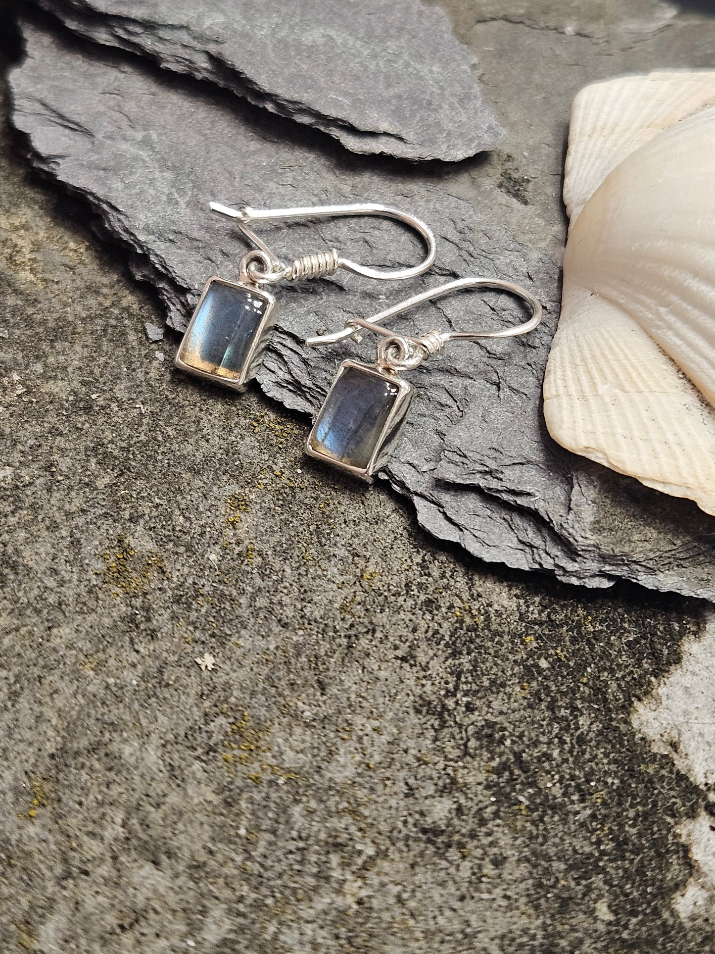 Rectangular Labradorite Drop Earrings