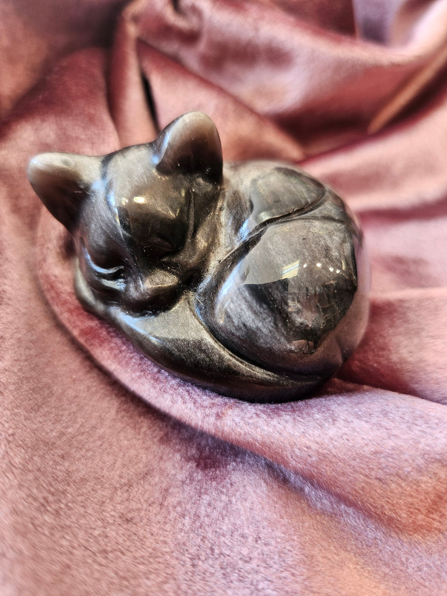 Silver Sheen Sleeping Cat