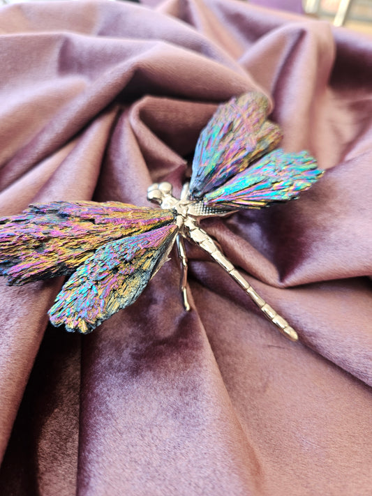 Aura Coated Kyanite Dragon Fly