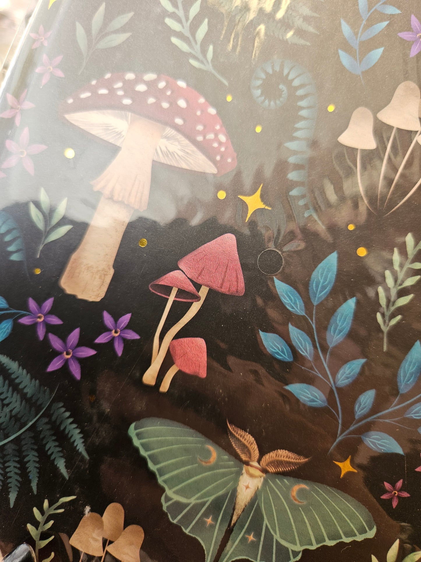 Mushroom and Moth Journal 🍄