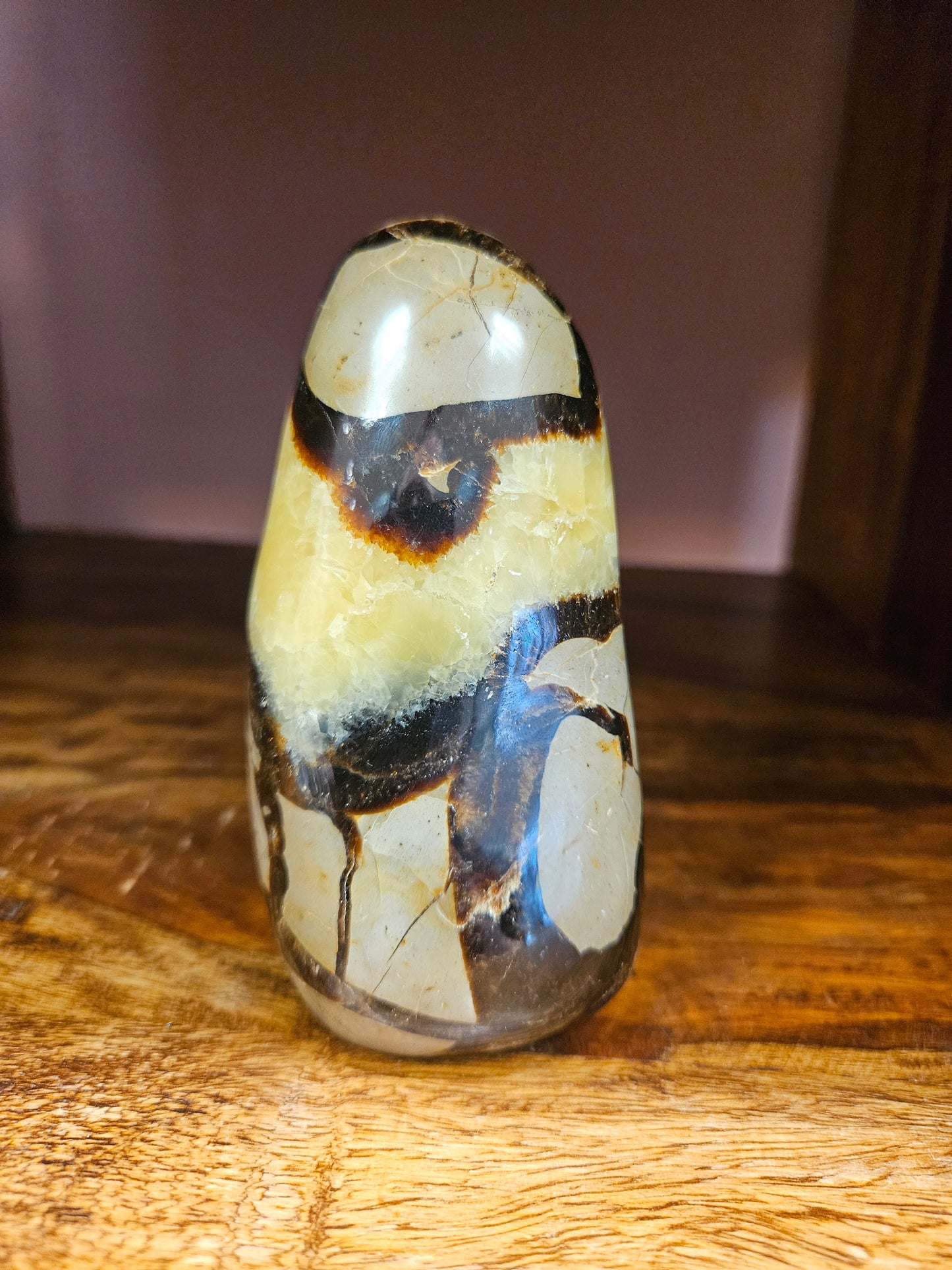 Septarian Freeform