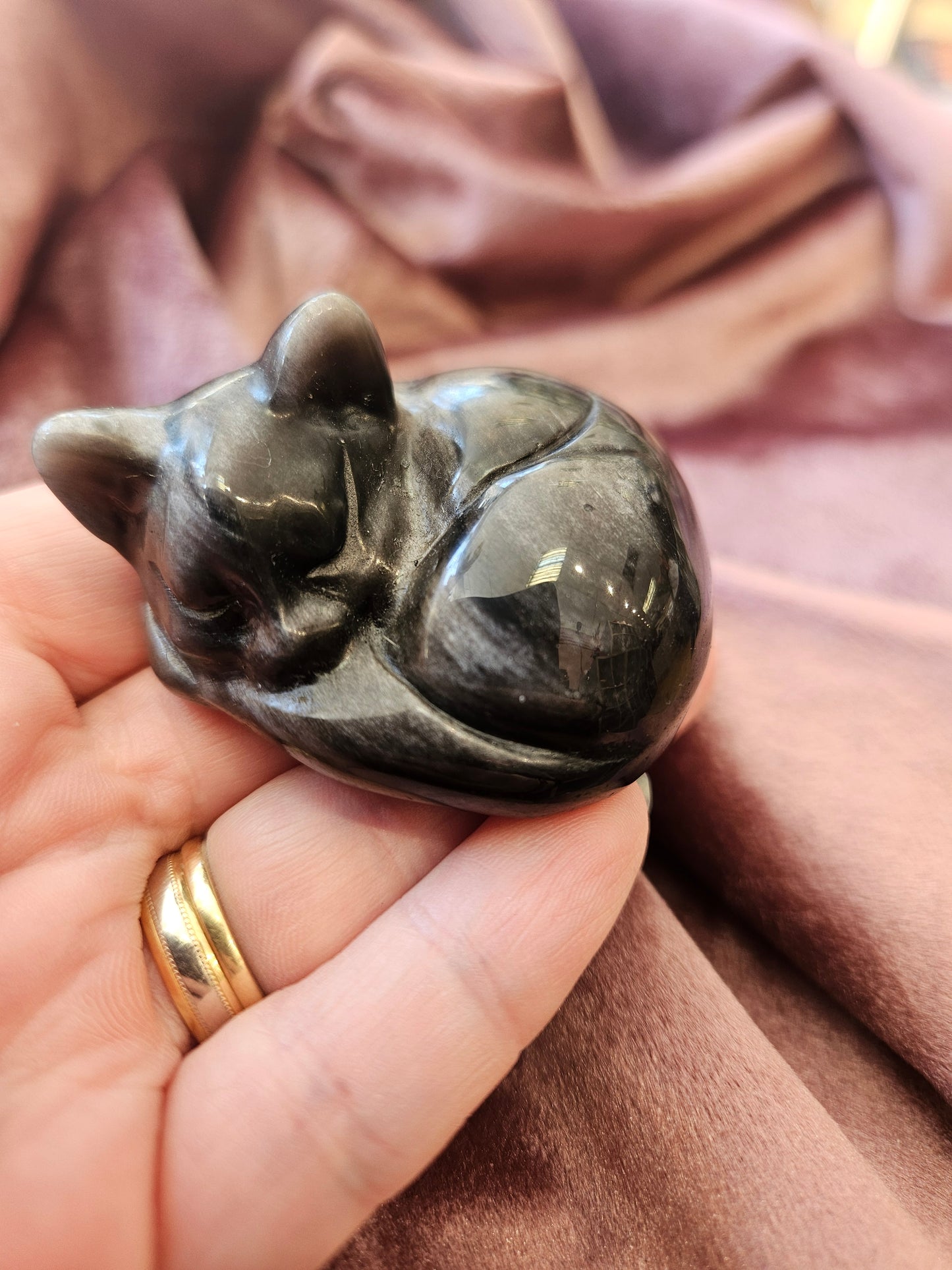 Silver Sheen Sleeping Cat