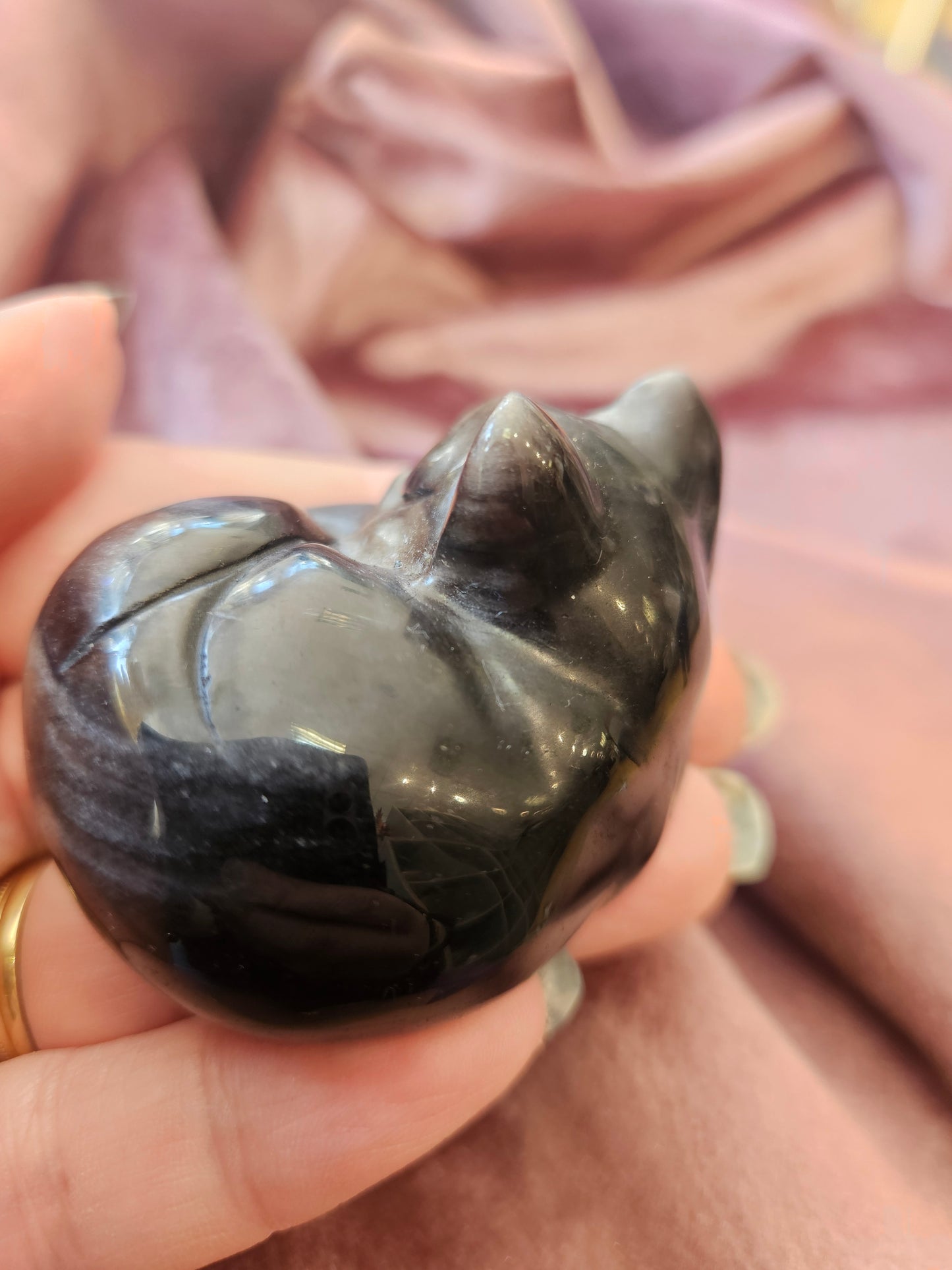 Silver Sheen Sleeping Cat