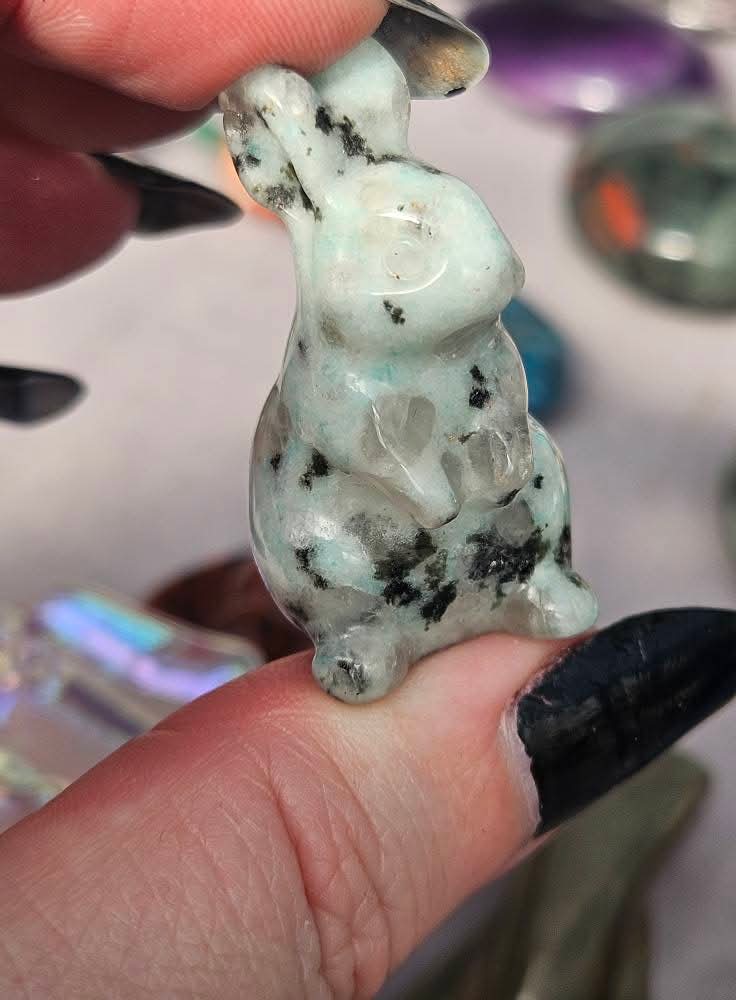 Kiwi Jasper Bunny