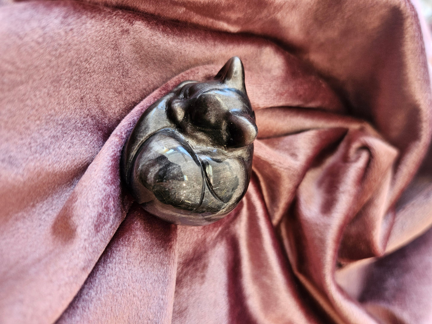 Silver Sheen Sleeping Cat