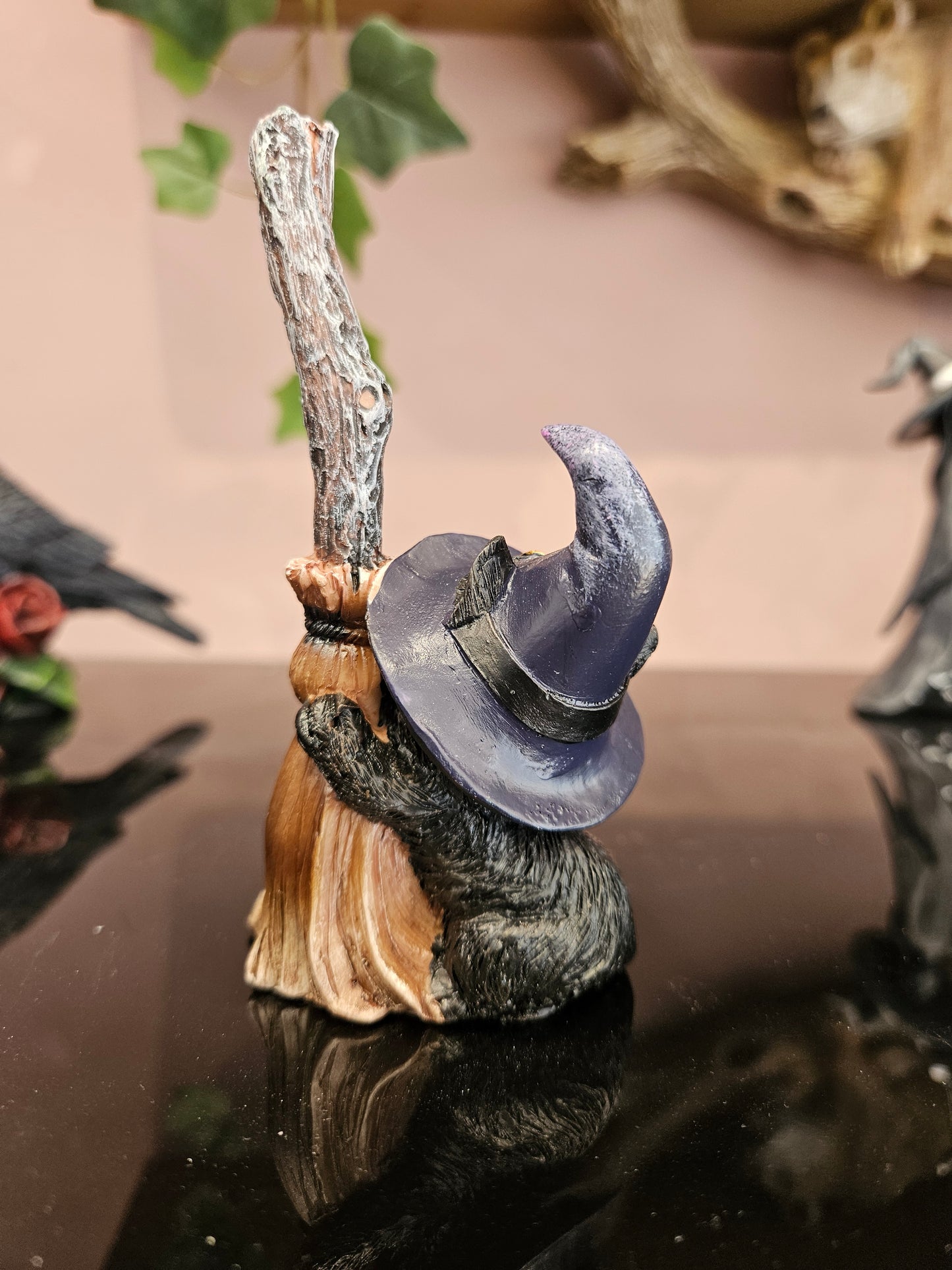 Broom Gaurd (purple hat)