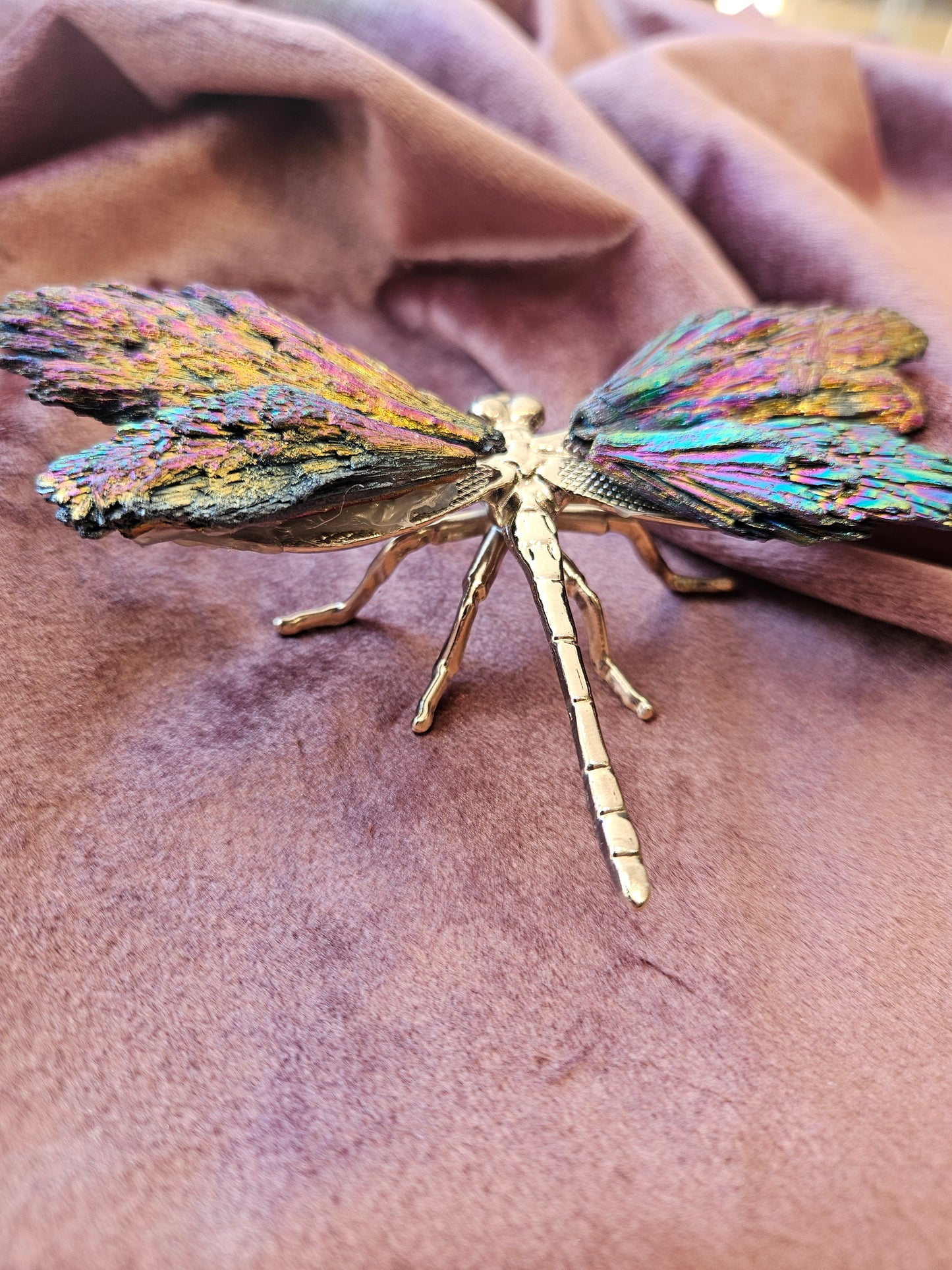 Aura Coated Kyanite Dragon Fly