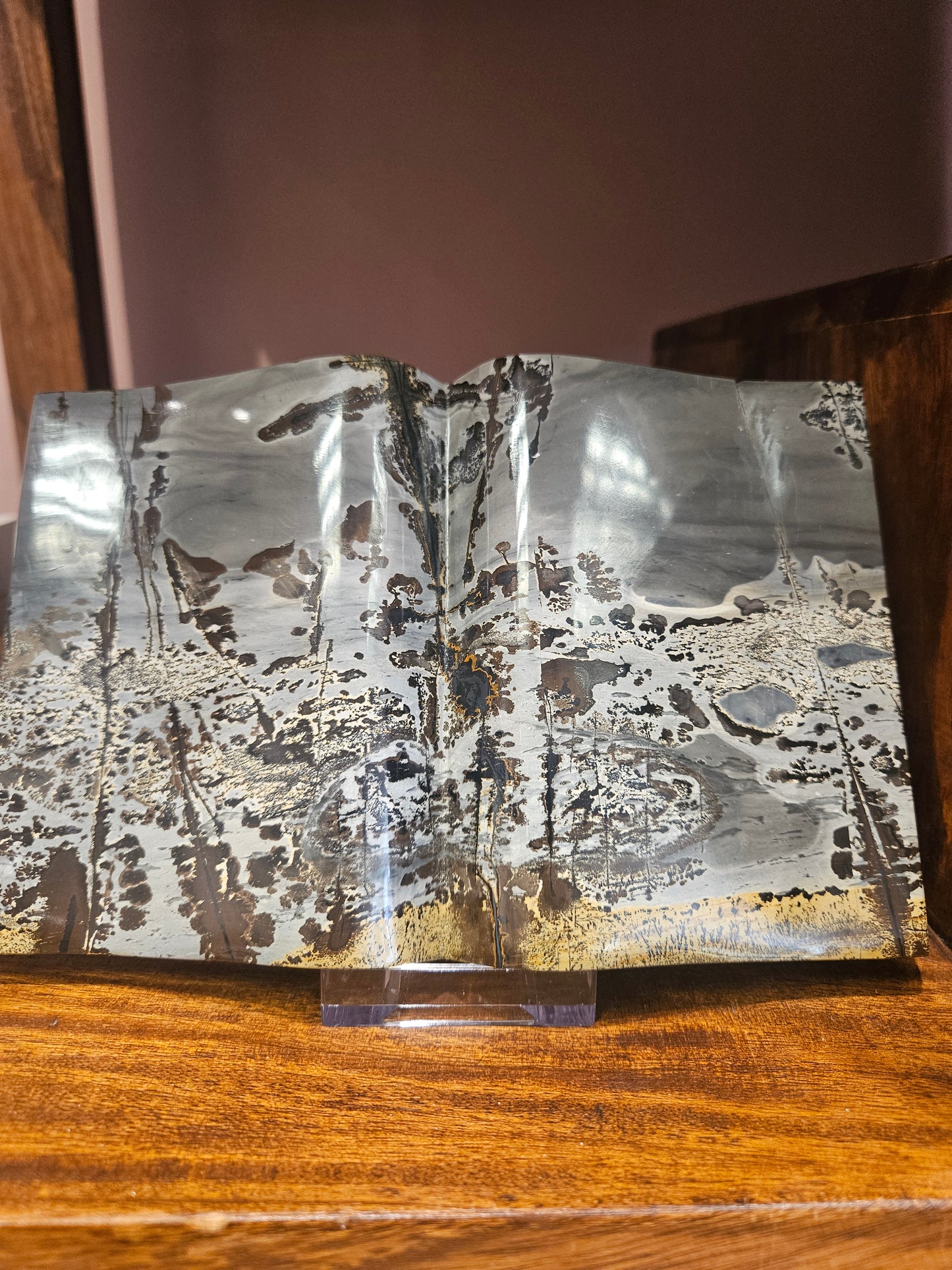 Dendritic Agate Book