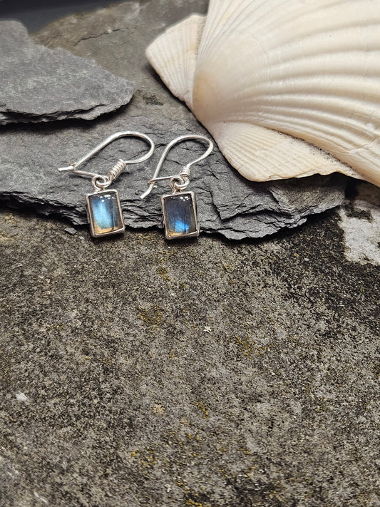 Rectangular Labradorite Drop Earrings