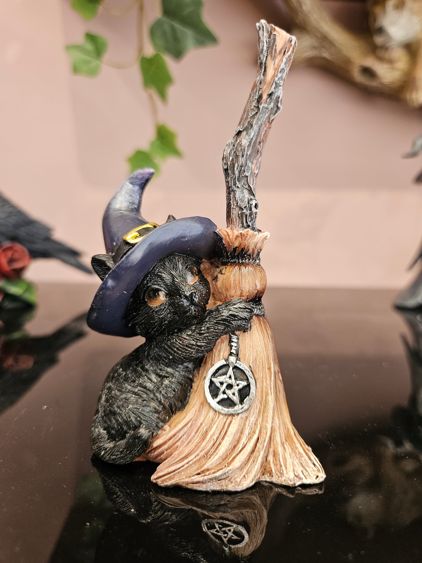 Broom Gaurd (purple hat)