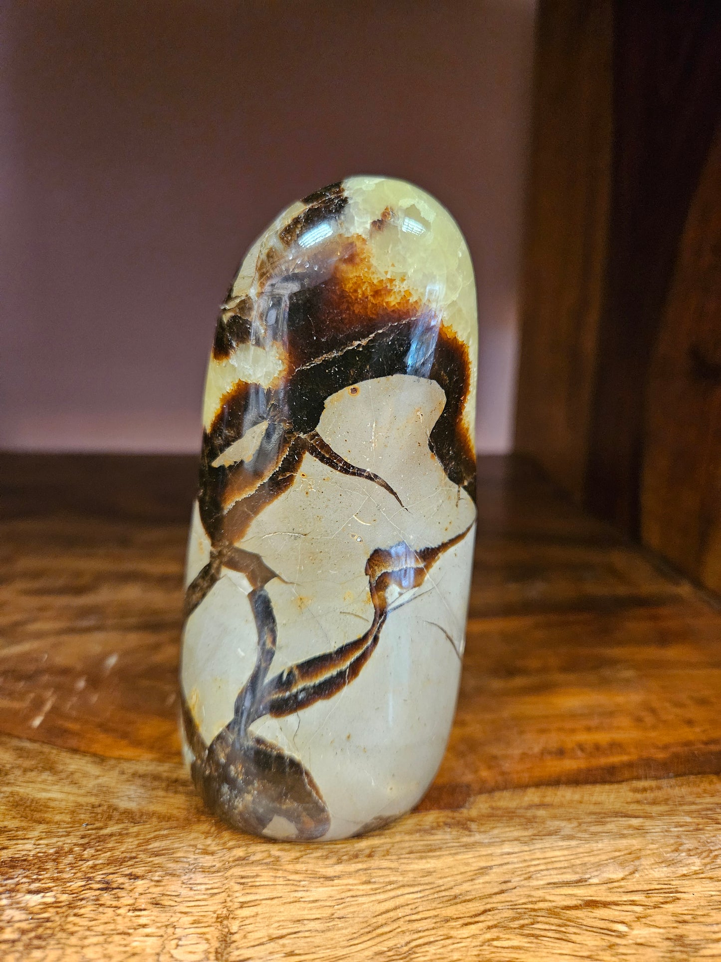 Septarian Freeform