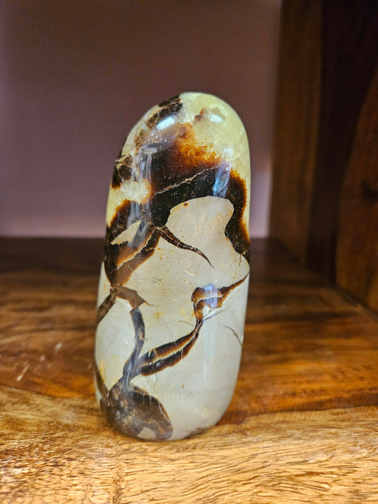 Septarian Freeform