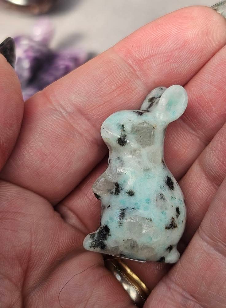 Kiwi Jasper Bunny